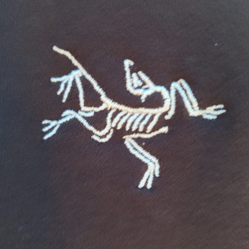 Worn Once Arcteryx Women's Kyanite Hoody in Phantasm-XL